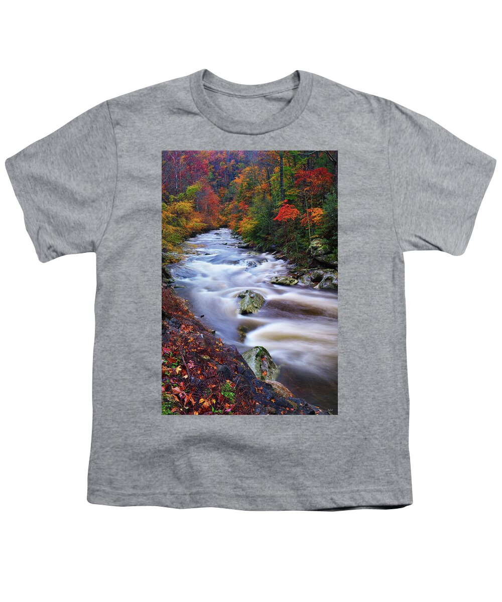 Great Smoky Mountains National Park Youth T-Shirt featuring the photograph A River Runs Through Autumn by Greg Norrell