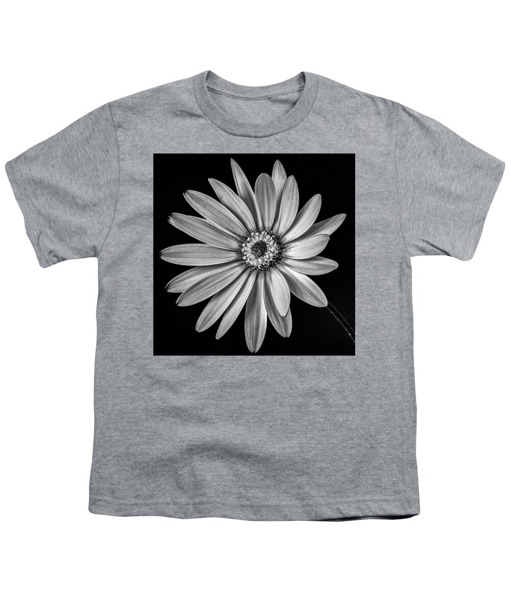 Osteospermum Youth T-Shirt featuring the photograph African Daisy 1 by Nigel R Bell