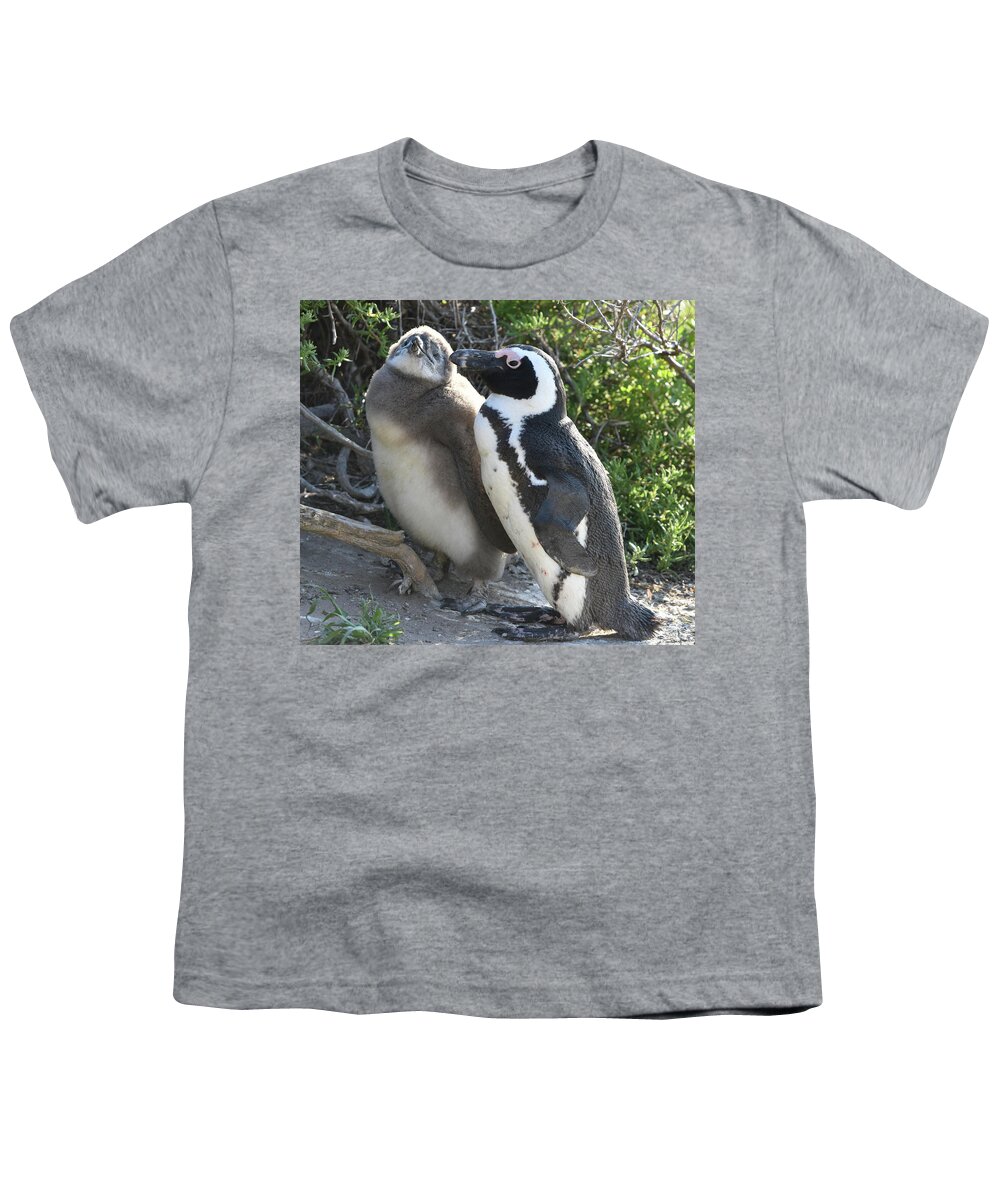 Penguin Youth T-Shirt featuring the photograph African Penguin with Chick by Ben Foster