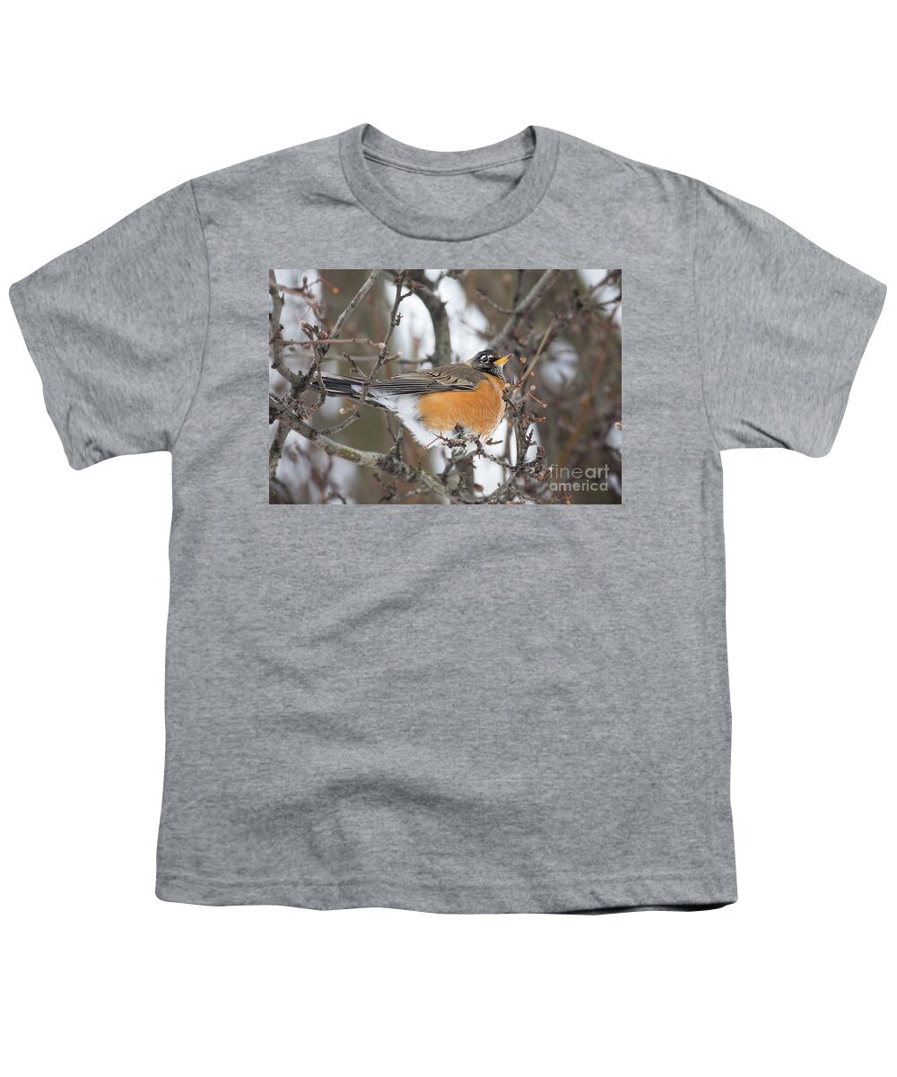 Nature Youth T-Shirt featuring the photograph American Robin Red Breast by Sharon McConnell