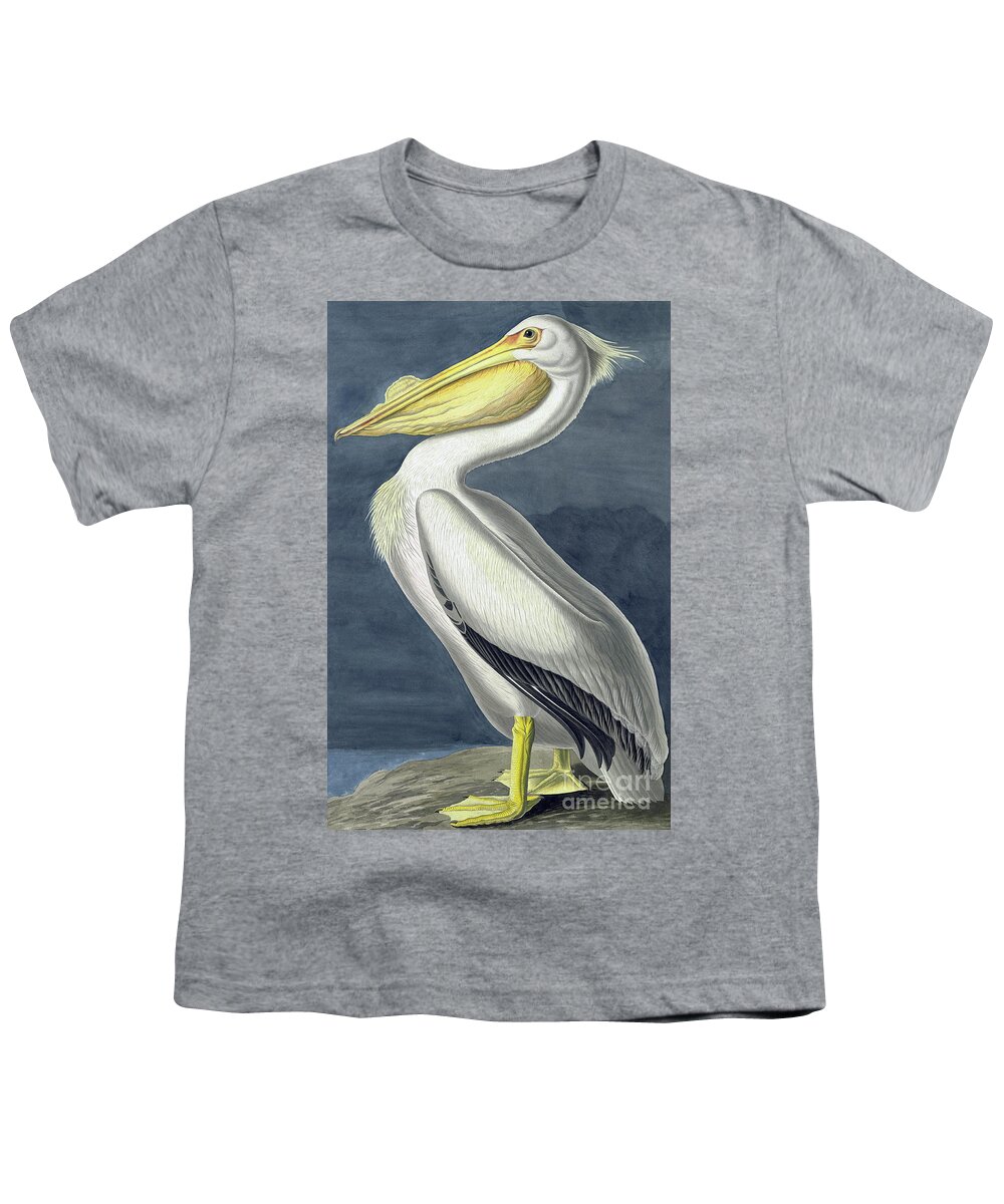 Pelican Youth T-Shirt featuring the painting American White Pelican, Pelecanus Erythrorhynchos by John James Audubon by John James Audubon
