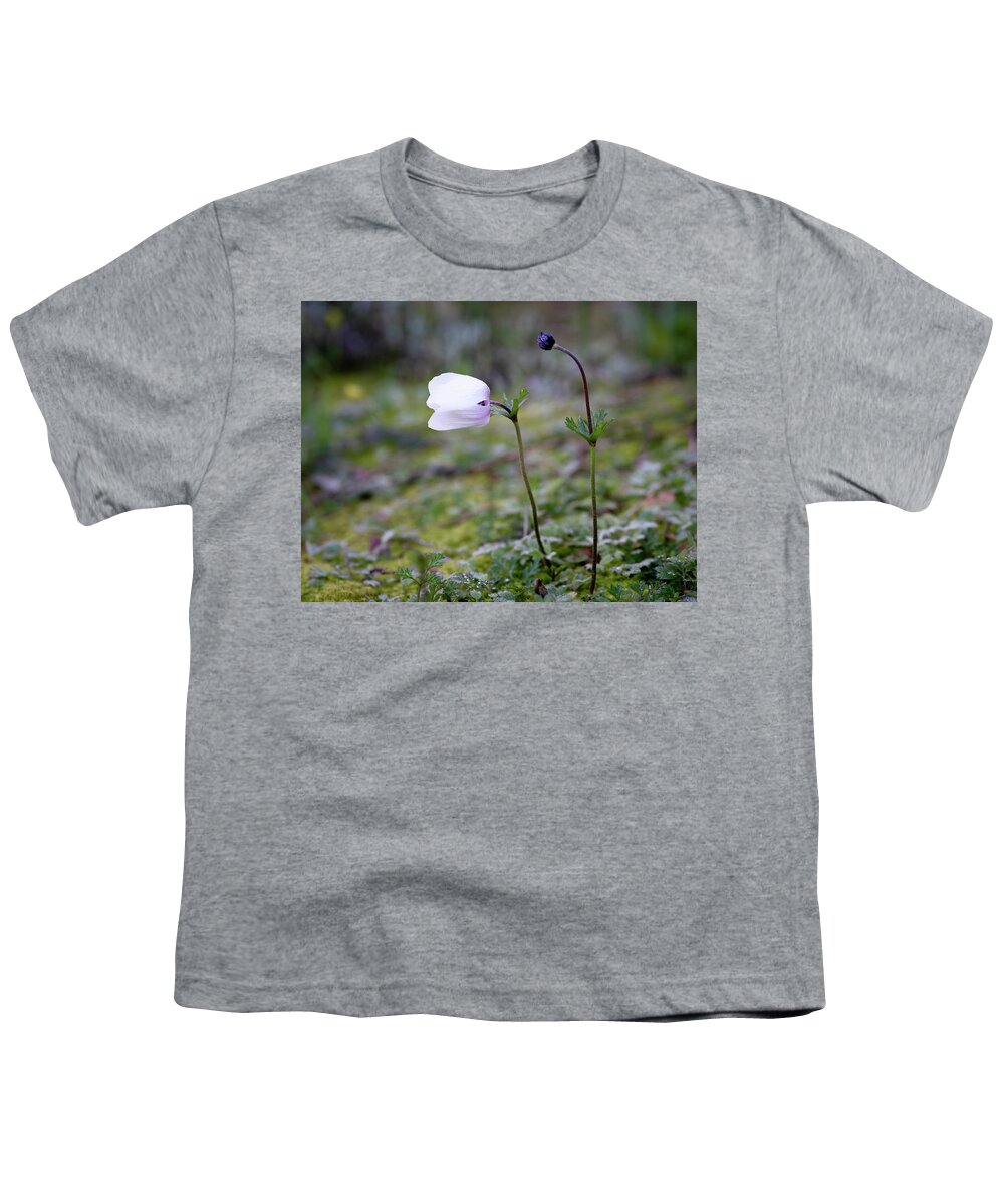 Anemone Coronaria Youth T-Shirt featuring the photograph Anemone Coronaria or spanish marigold wild flowers from Cyprus n by Michalakis Ppalis