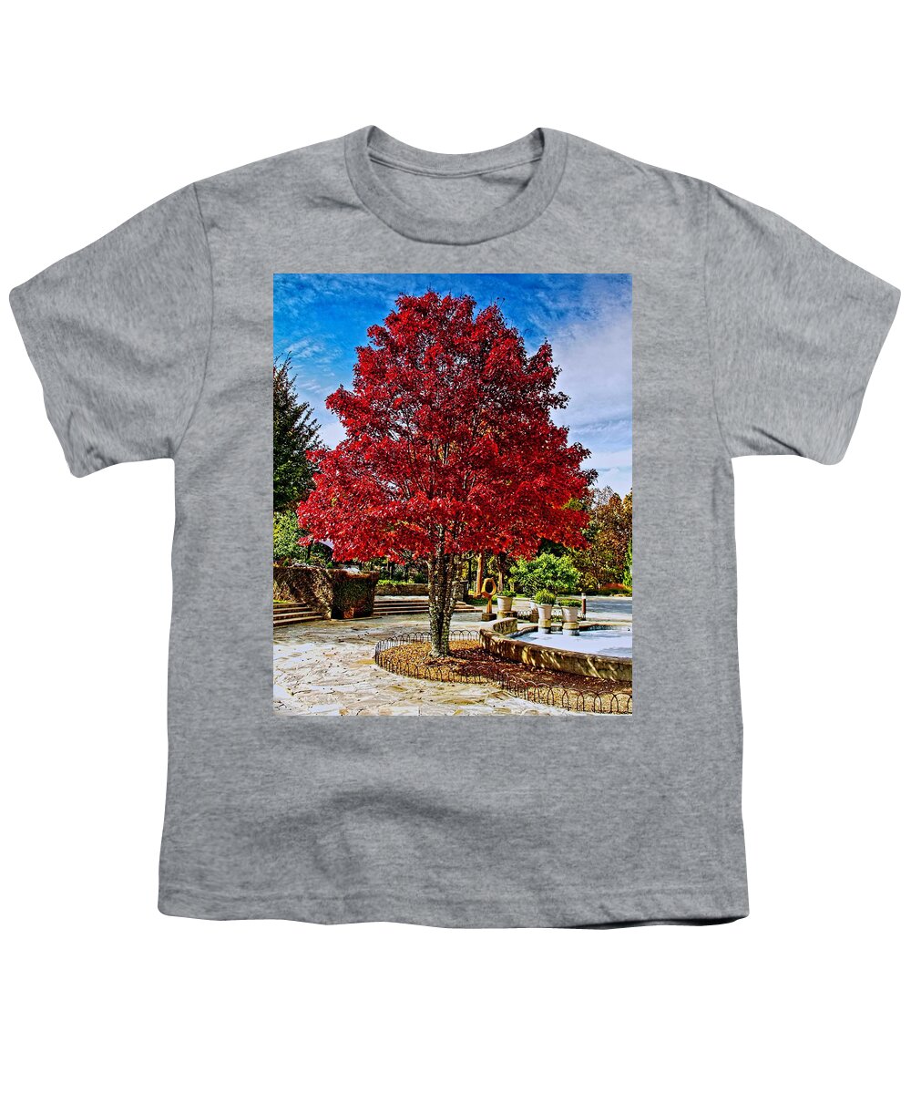Autumn Youth T-Shirt featuring the photograph Autumn Celebration by Allen Nice-Webb