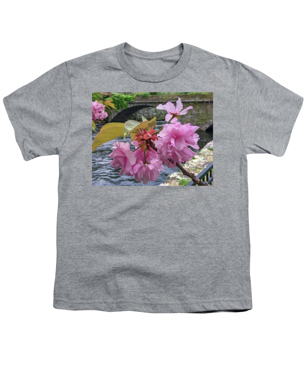 Willimantic Youth T-Shirt featuring the photograph Beautiful Blossom by Veterans Aerial Media LLC