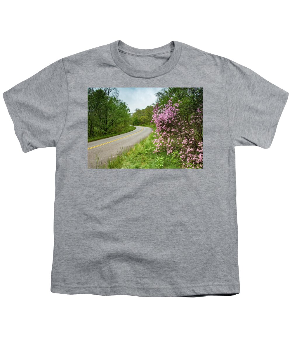 Asheville Youth T-Shirt featuring the photograph Blue Ridge Parkway in Bloom by Joye Ardyn Durham