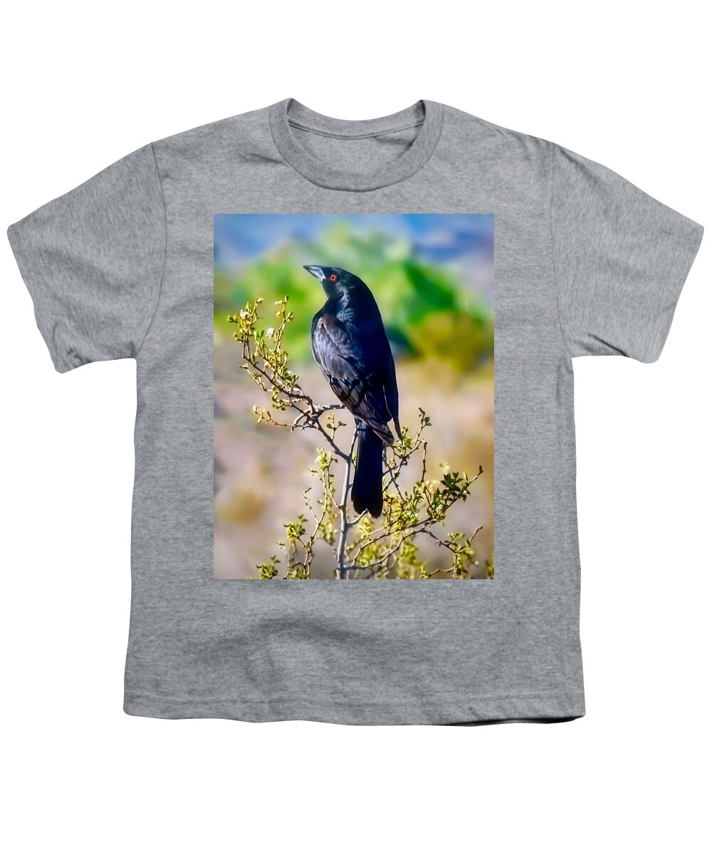 Arizona Youth T-Shirt featuring the photograph Bronzed Cowbird on Creosote by Judy Kennedy