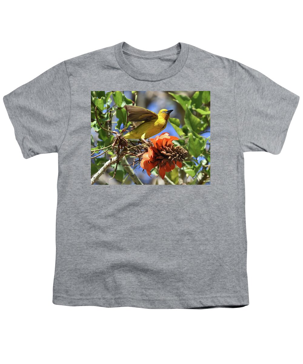 Weaver Youth T-Shirt featuring the photograph Cape Weaver by Ben Foster