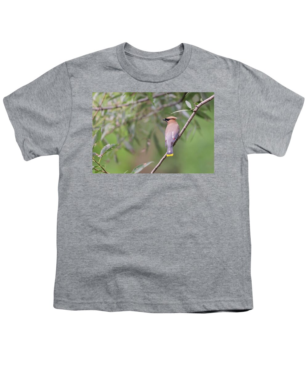 Cedar Waxwing Youth T-Shirt featuring the photograph Cedar Waxwing 2019-1 by Thomas Young