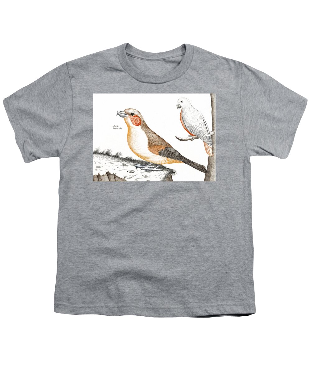 Nature Youth T-Shirt featuring the painting Crossbill and a white bird 1688-1698 by Johan Teyler 1648-1709 by Celestial Images
