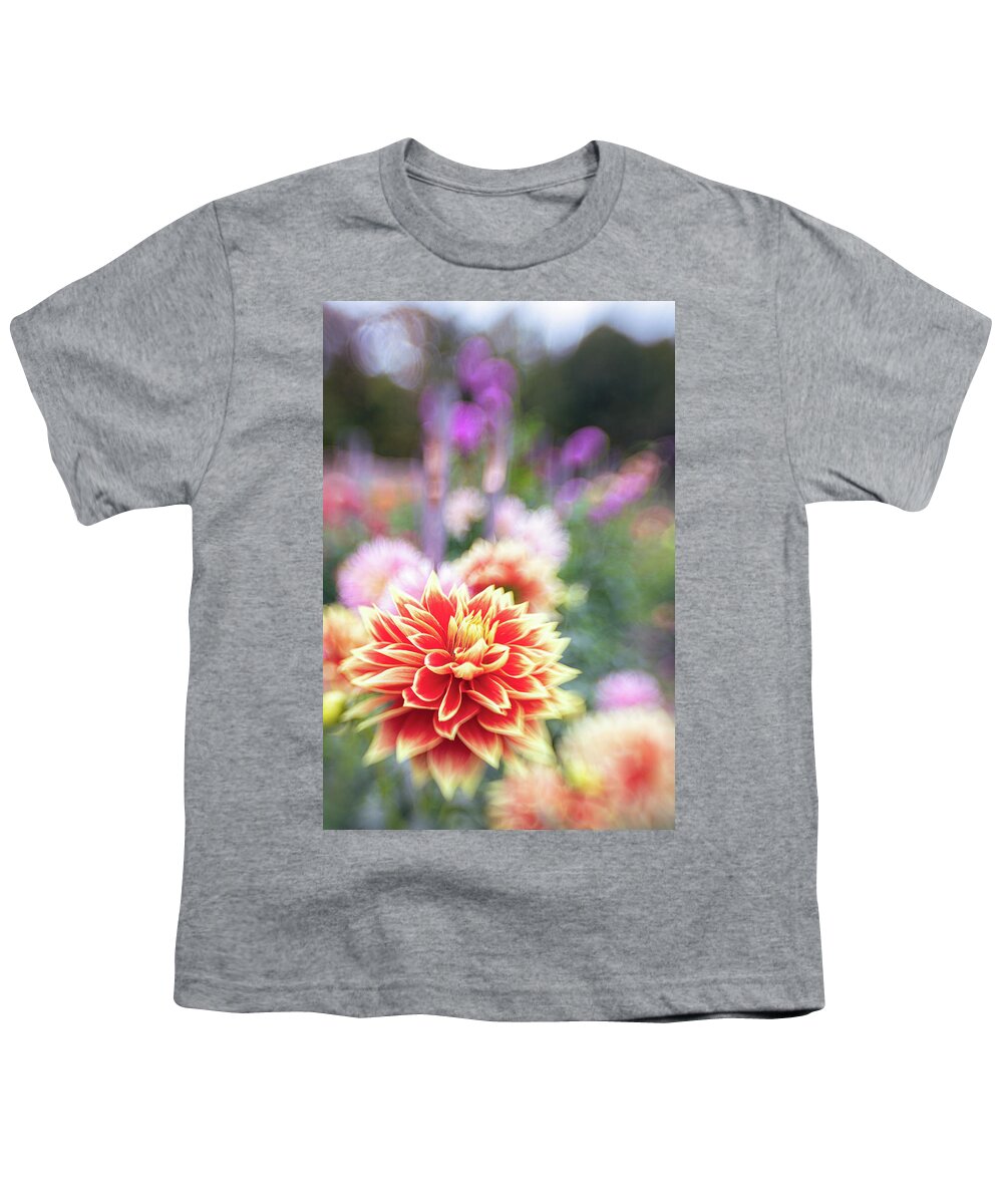Dahlia Floral Flora Flower Botanic Botanical Botany Bokeh Youth T-Shirt featuring the photograph Dahlia Dream 2 by Brian Hale