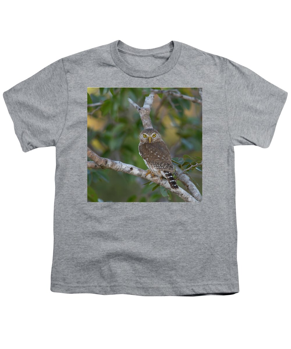 Ferruginous Youth T-Shirt featuring the photograph Ferruginous pygmy owl by Patrick Nowotny