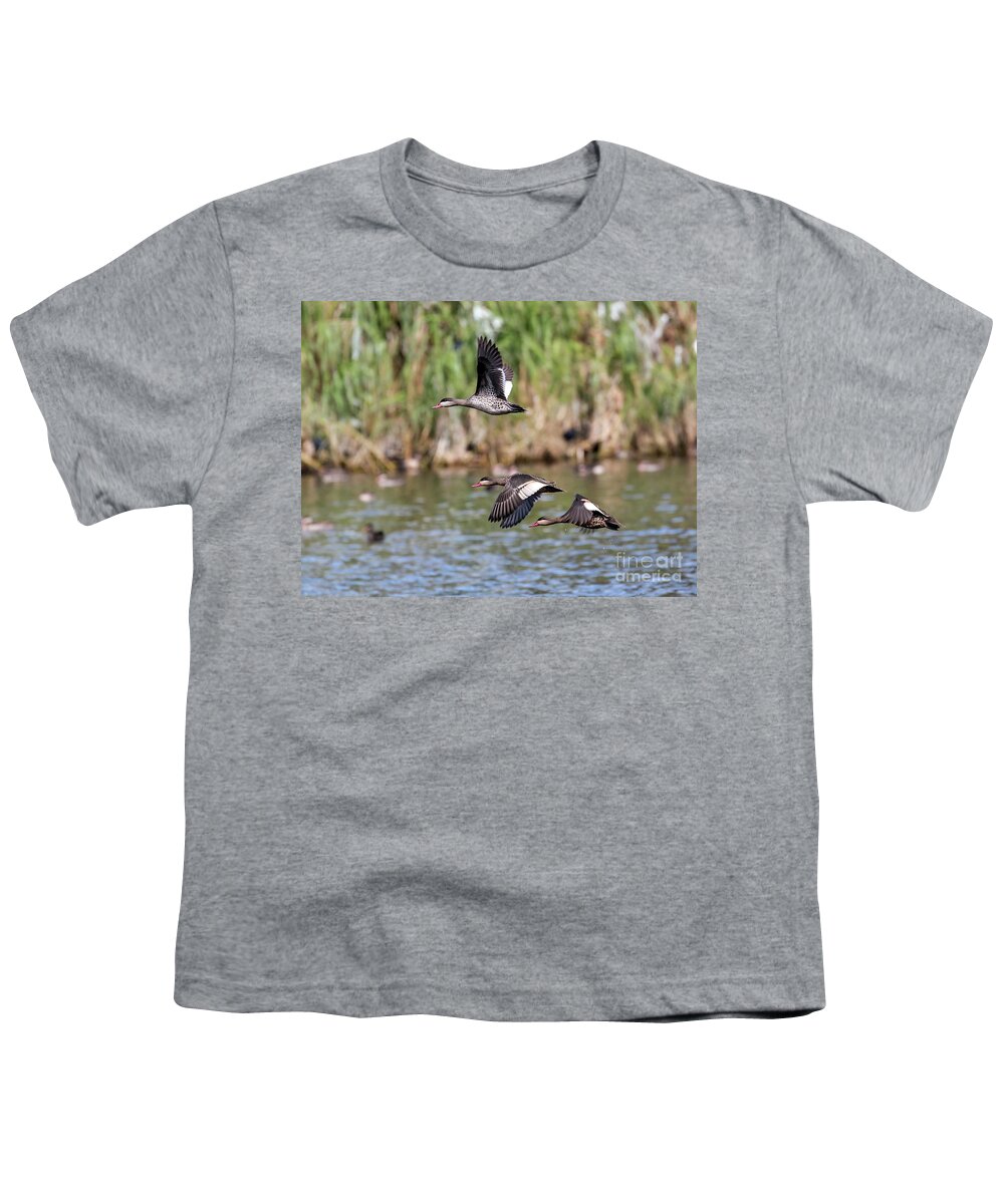 Bird Youth T-Shirt featuring the photograph Flying Red-billed Teals by Claudio Maioli