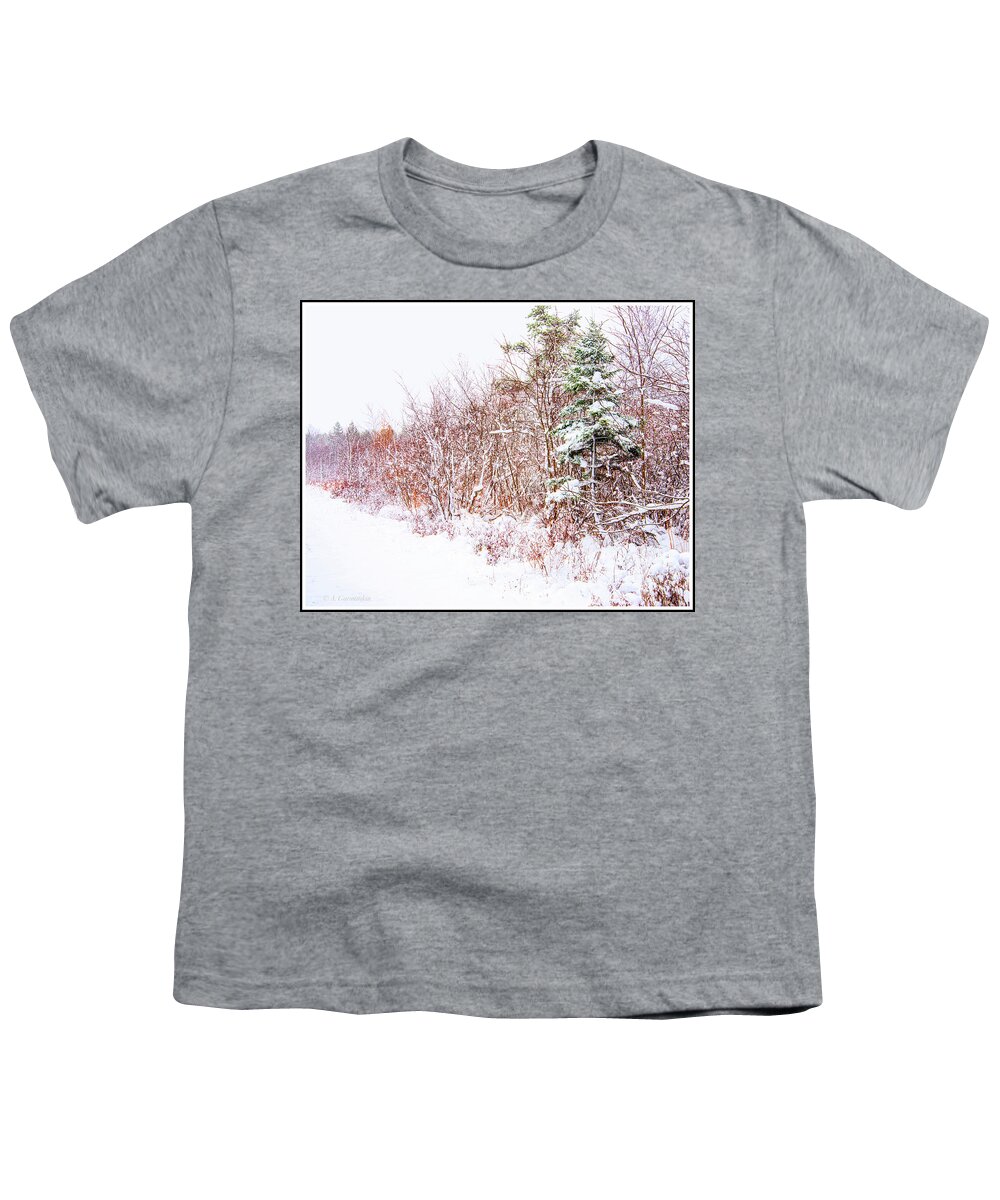 Thicket Youth T-Shirt featuring the photograph Forest Edge Thicket in Winter by A Macarthur Gurmankin