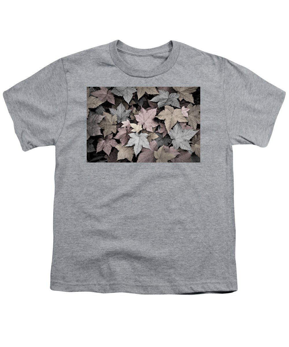 Beautiful Photos Youth T-Shirt featuring the photograph Gold Copper and Silver leaves 1 by Roger Snyder