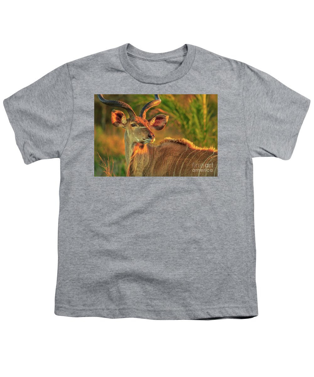Kudu Youth T-Shirt featuring the photograph Greater kudu portrait by Benny Marty