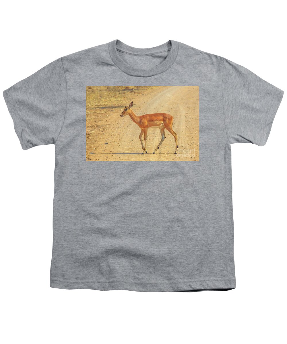 Impala Youth T-Shirt featuring the photograph Impala female walking by Benny Marty