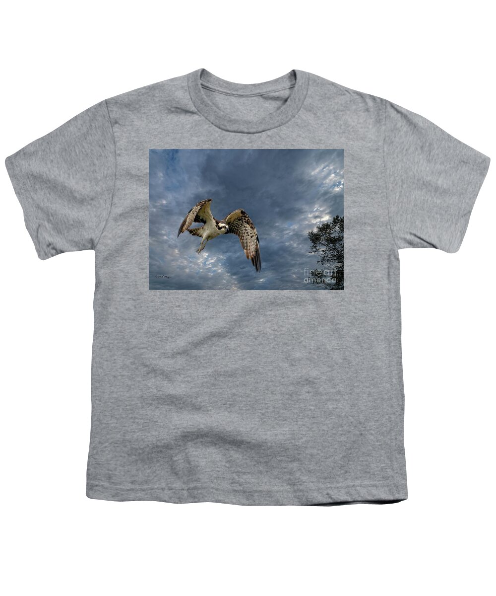 Ospreys Youth T-Shirt featuring the photograph Jekyll Osprey In-Flight by DB Hayes