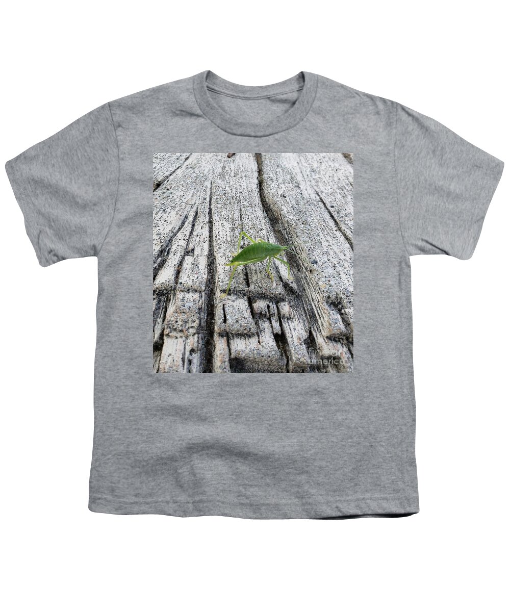 Insect Youth T-Shirt featuring the photograph Katydid by Anita Adams