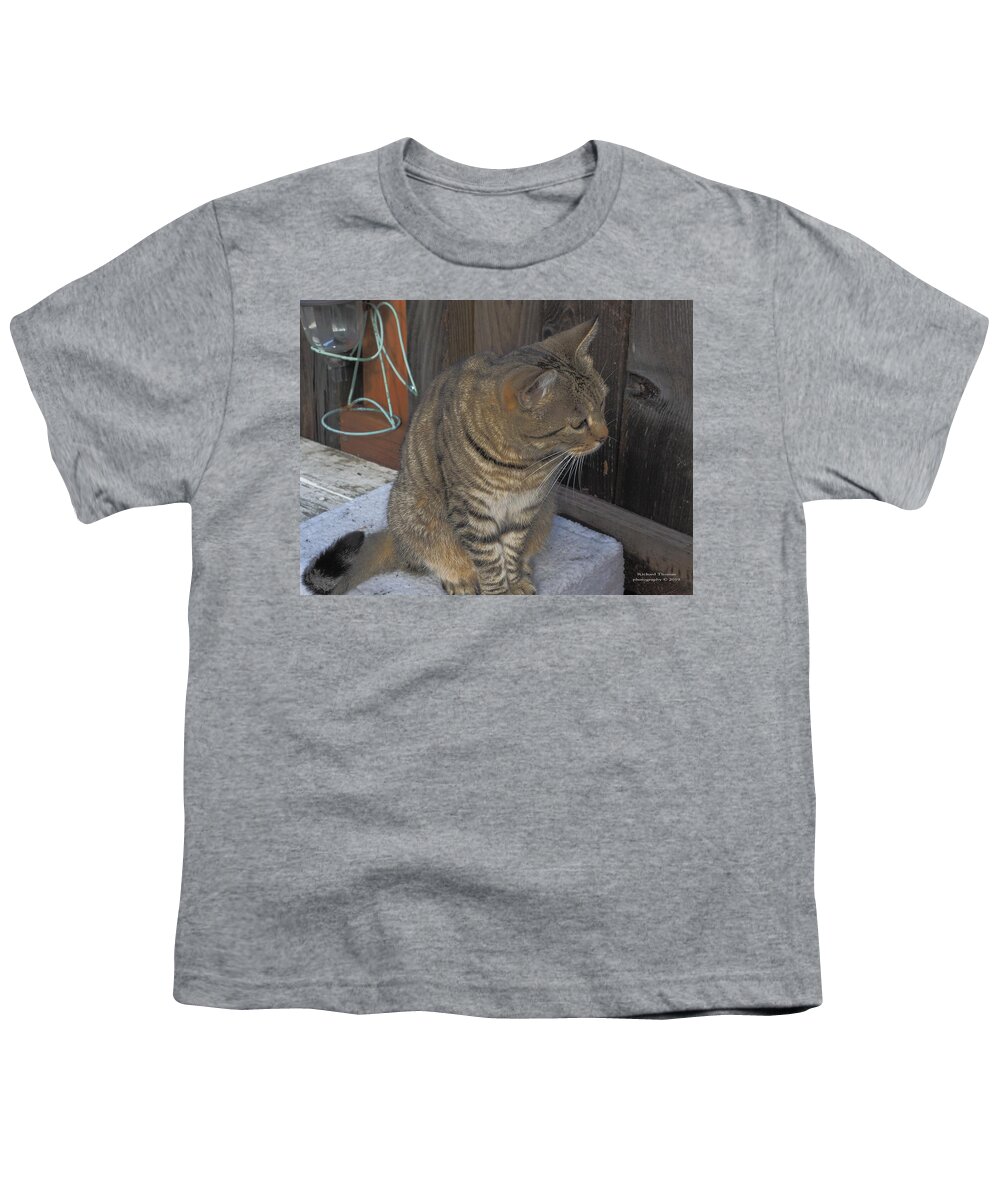 Animal Youth T-Shirt featuring the photograph Kitty Backyard by Richard Thomas