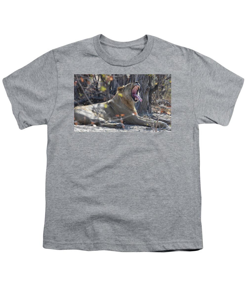 Lion Youth T-Shirt featuring the photograph Lion's Yawn by Ben Foster