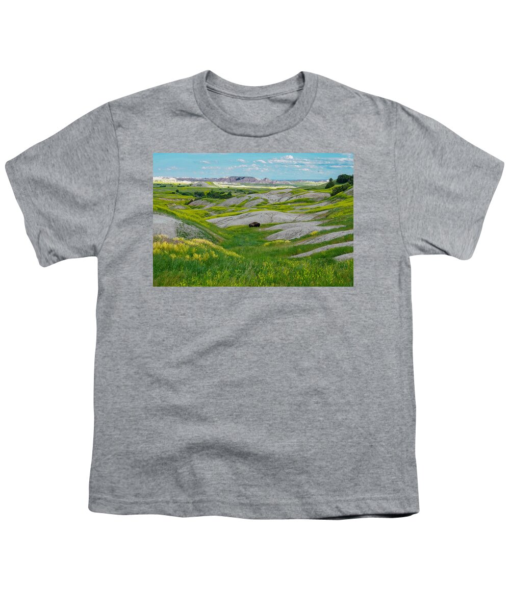 Landscape Youth T-Shirt featuring the photograph Lone Buffalo by Susan Rydberg