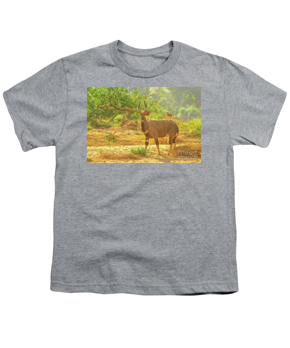 Nyala Youth T-Shirt featuring the photograph Male of Greater Nyala by Benny Marty