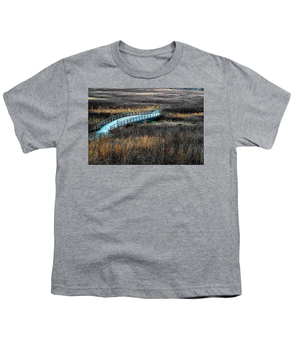 Rose Tree Park Media Pennsylvania Youth T-Shirt featuring the photograph Meadow Bridge by Tom Singleton