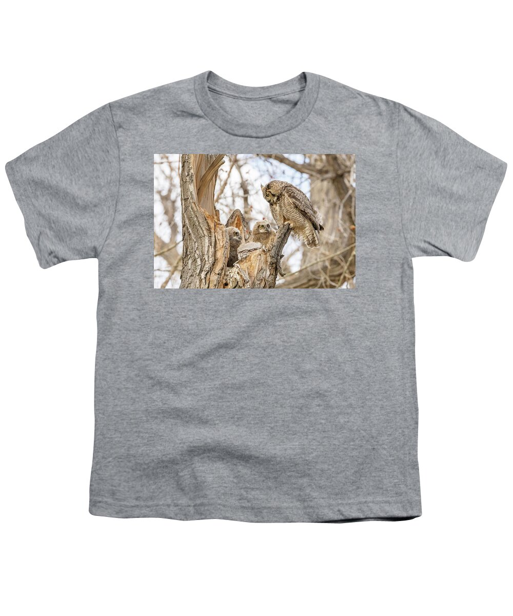 Owl Youth T-Shirt featuring the photograph Owlets Pay Attention to Mom by Tony Hake
