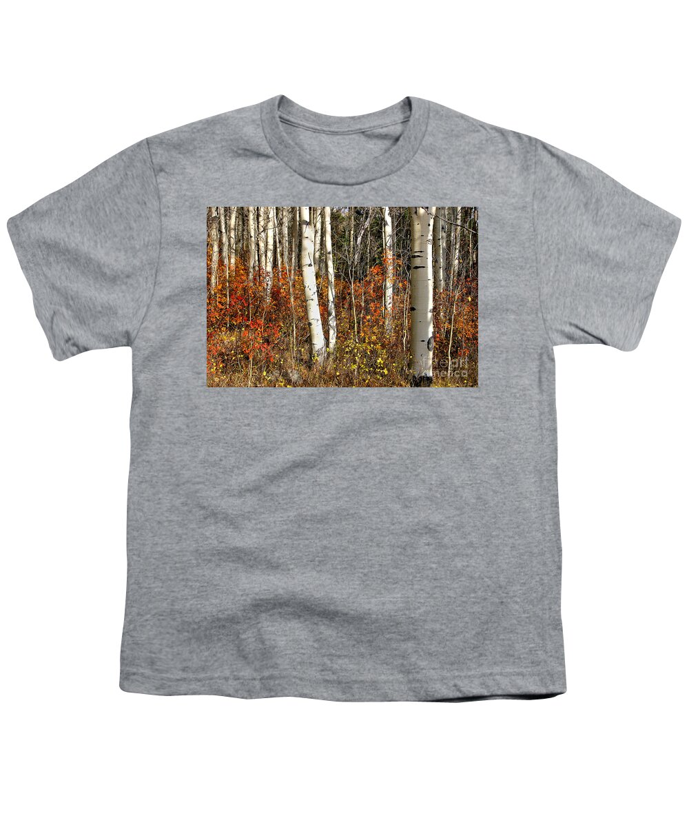 Fall Youth T-Shirt featuring the photograph peaceful fall scene white black aspen trunks Populus tremuloides by Robert C Paulson Jr