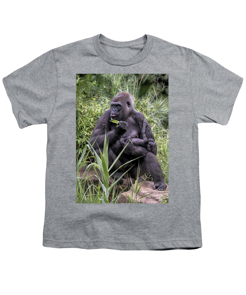 Mammals Youth T-Shirt featuring the photograph Proud Mama Silverback 6243 by Donald Brown
