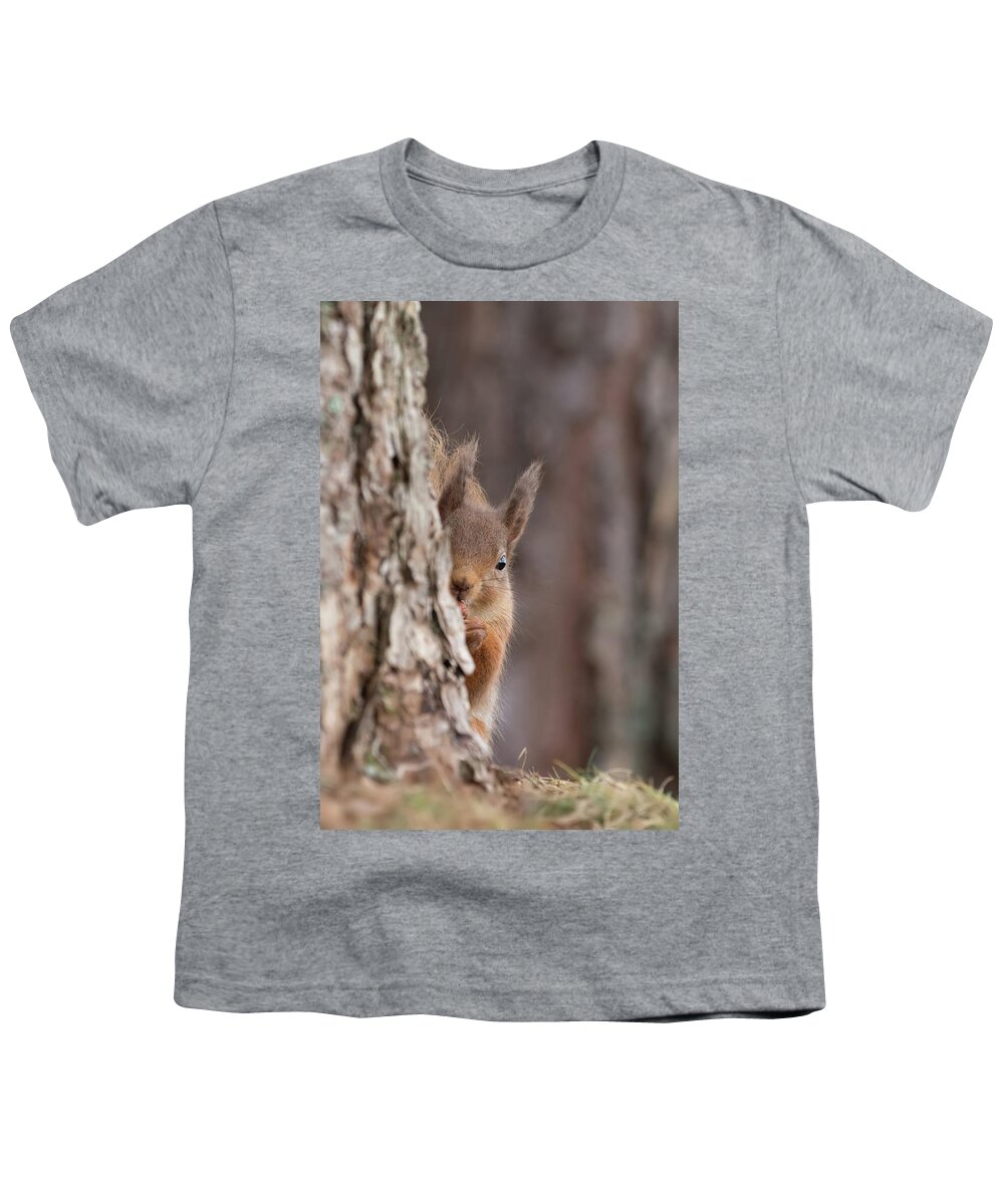 Red Youth T-Shirt featuring the photograph Red Squirrel Peering Round A Tree by Pete Walkden