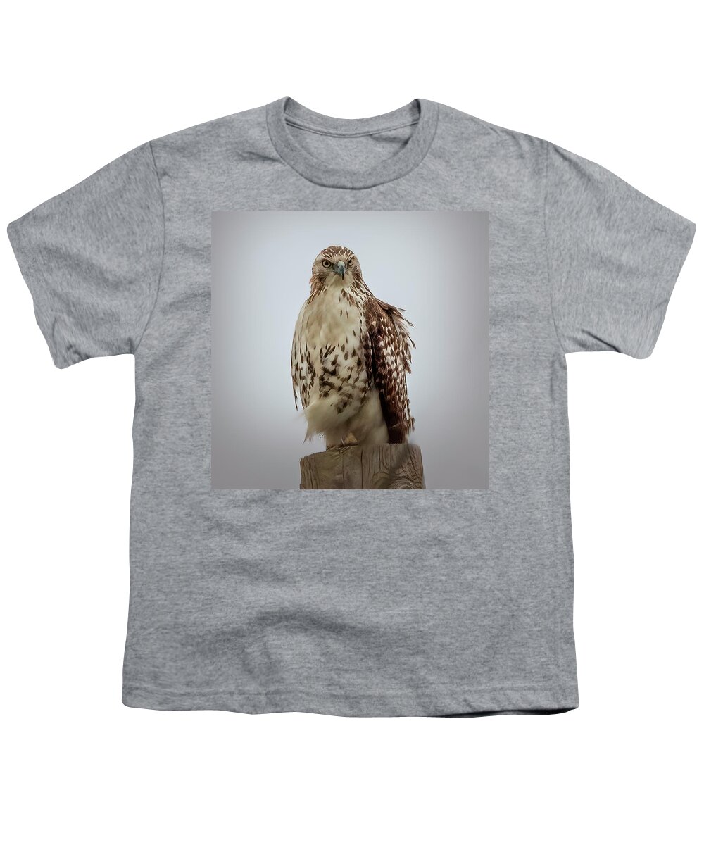 Nature Youth T-Shirt featuring the photograph Red Tailed Hawk by JASawyer Imaging