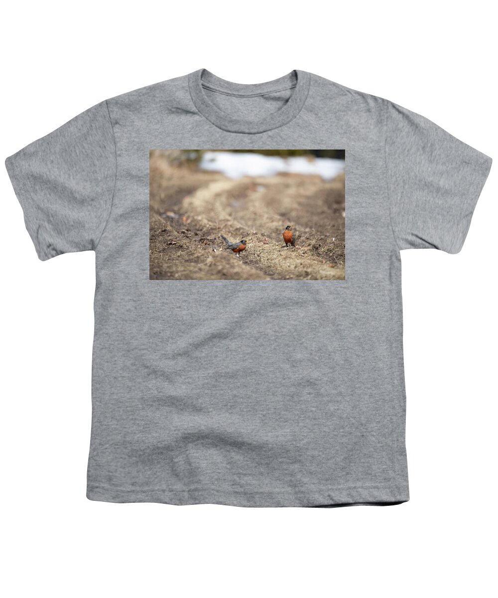Robin Bird Birds Birdwatching Photobomb Nature Outside Outdoors Robins Brian Hale Brianhalephoto New England Winter Spring Snow Newengland Usa U.s.a. Youth T-Shirt featuring the photograph Robin Photobomb by Brian Hale