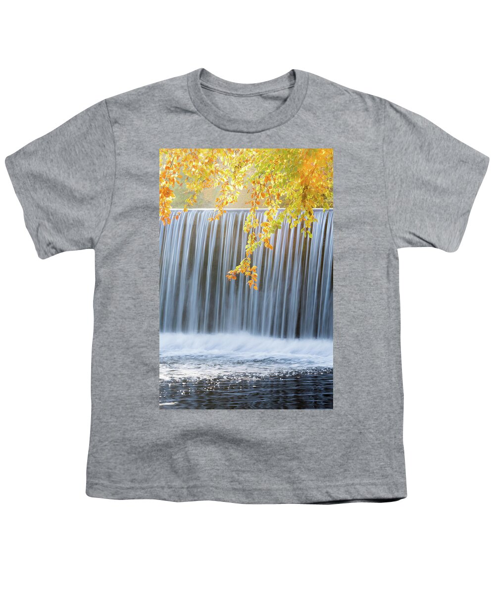 Landscape Youth T-Shirt featuring the photograph Silver and Gold by Anita Nicholson