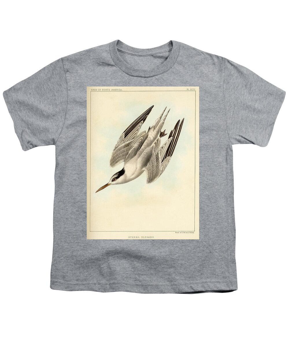 Birds Youth T-Shirt featuring the mixed media Sterna Elegans by Bowen and Co lith and col Phila