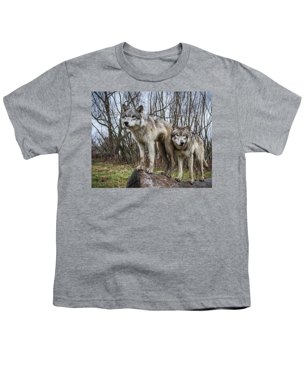 Wolves Wolf Youth T-Shirt featuring the photograph Still Lookin' by Laura Hedien