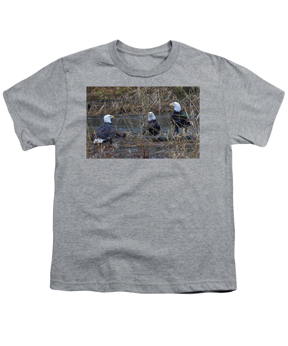 Bald Eagles Youth T-Shirt featuring the photograph The Eagles by Randy Hall