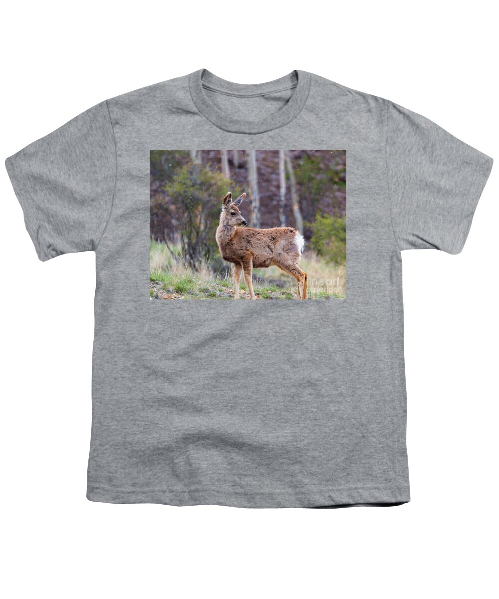 Deer Youth T-Shirt featuring the photograph Wary Deer Herd on a Snowy Morning by Steven Krull