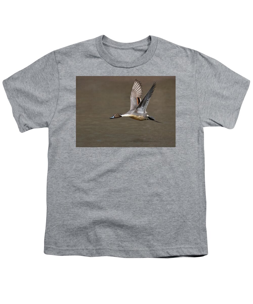 Bird Youth T-Shirt featuring the photograph Wings Up #1 by Art Cole