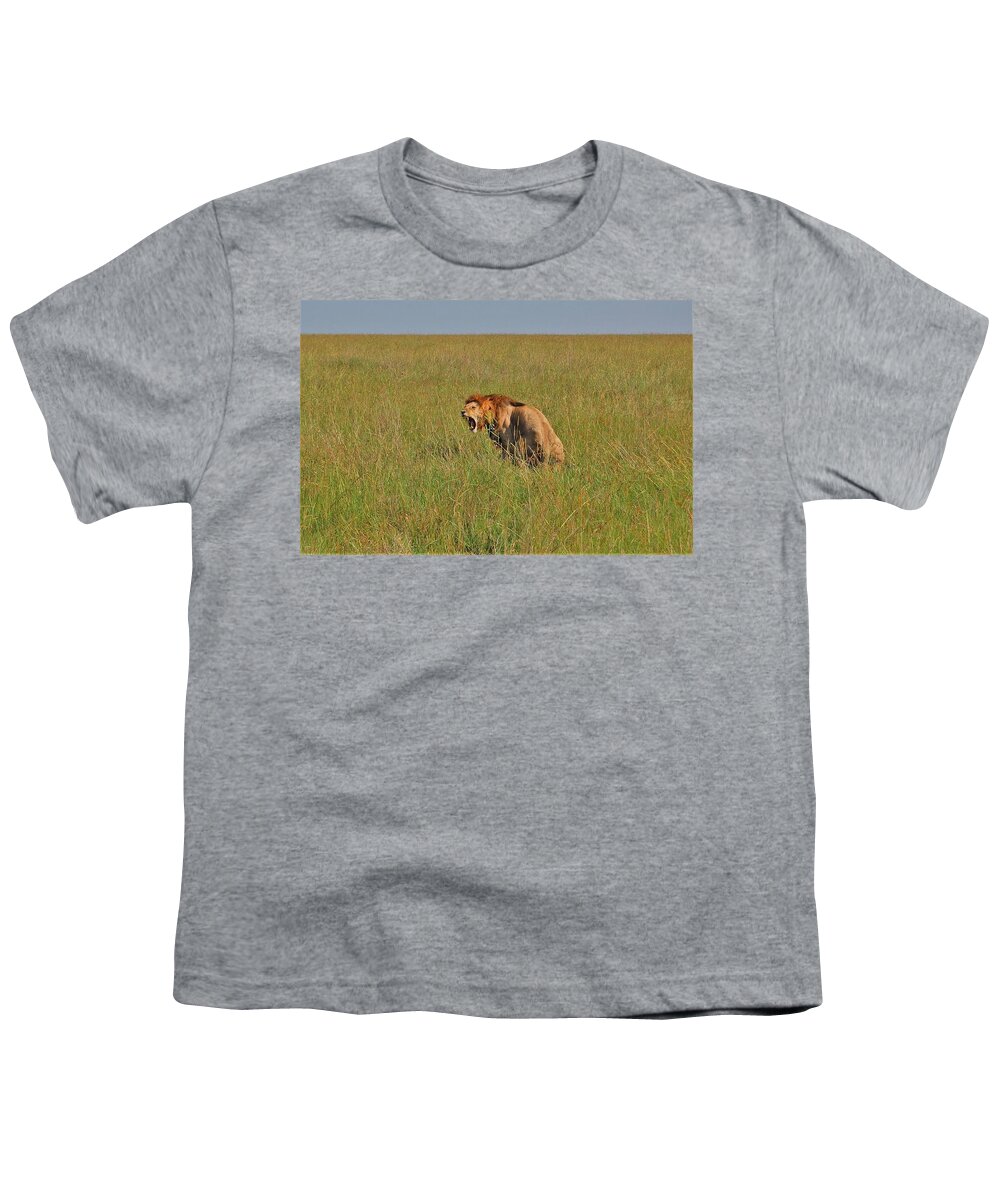  Youth T-Shirt featuring the photograph 29k by Jay Handler
