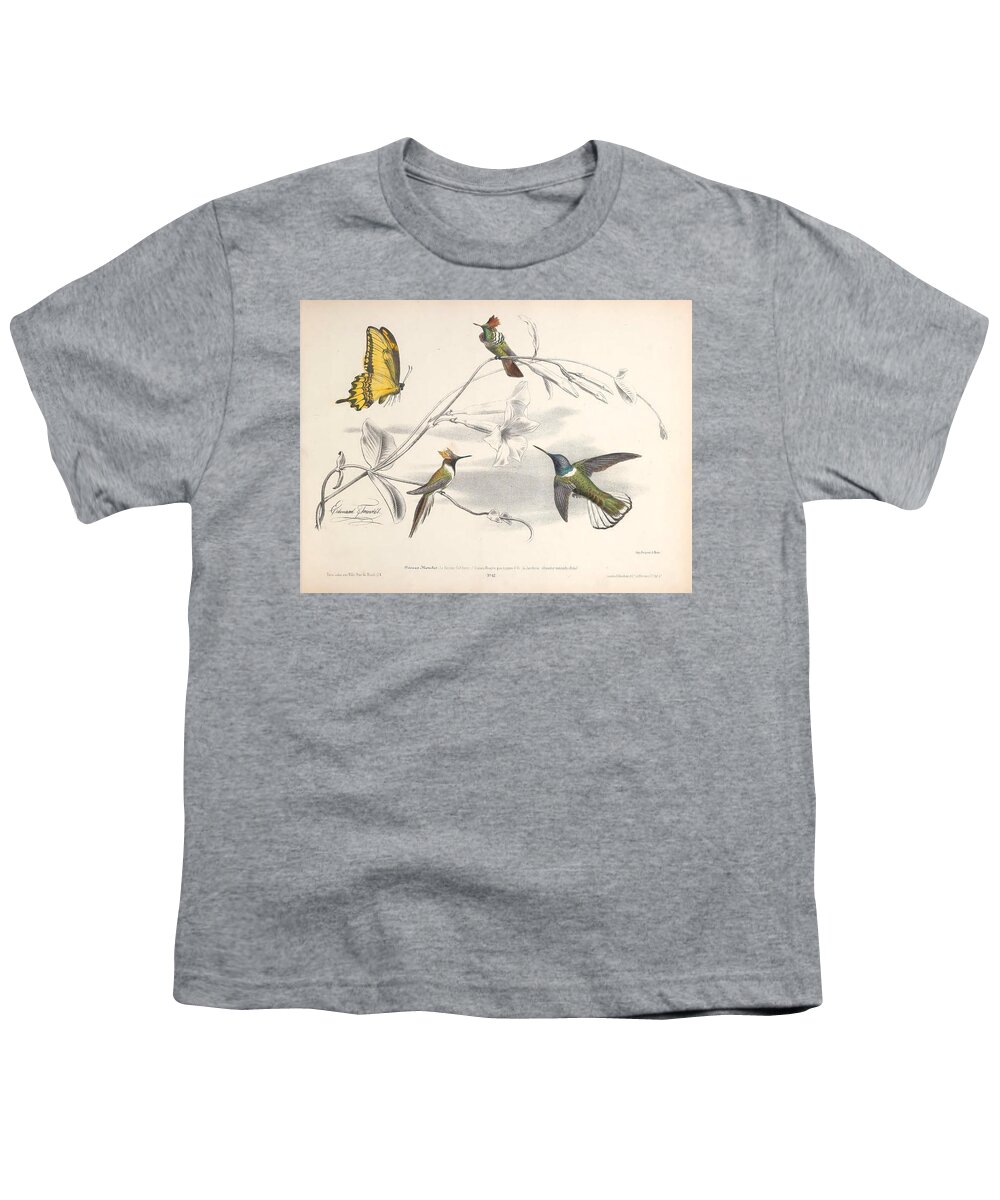 Birds Youth T-Shirt featuring the mixed media Hummingbirds #3 by World Art Collective