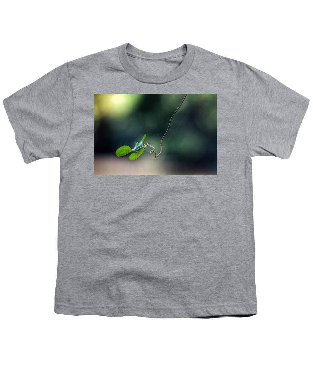 Photo Youth T-Shirt featuring the photograph Alone Above the River by Evan Foster