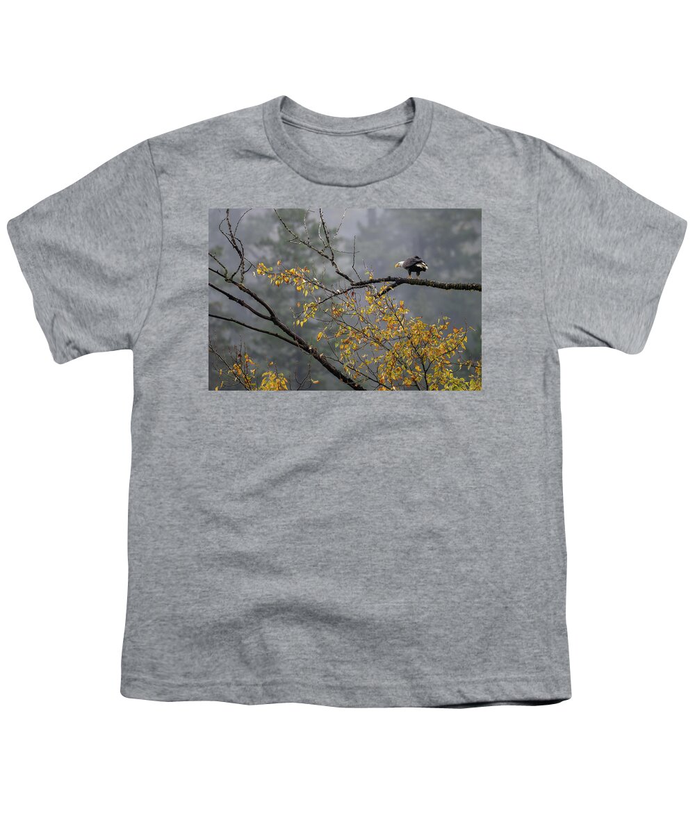 Bird Youth T-Shirt featuring the photograph Bald Eagle in Autumn by Bill Cubitt