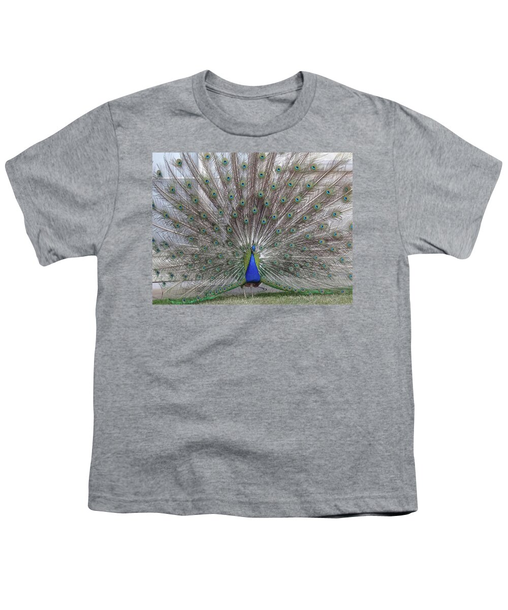 Bird Youth T-Shirt featuring the photograph Bird Of Paradise by Andre Petrov