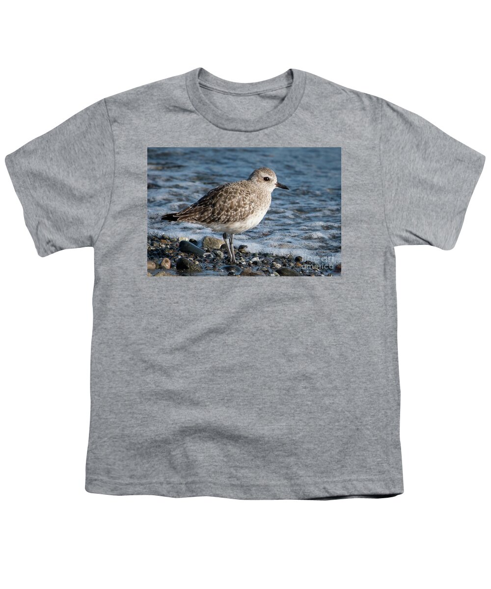 Animal Youth T-Shirt featuring the photograph Black-bellied Plover Winter Plumage Portrait by Nancy Gleason