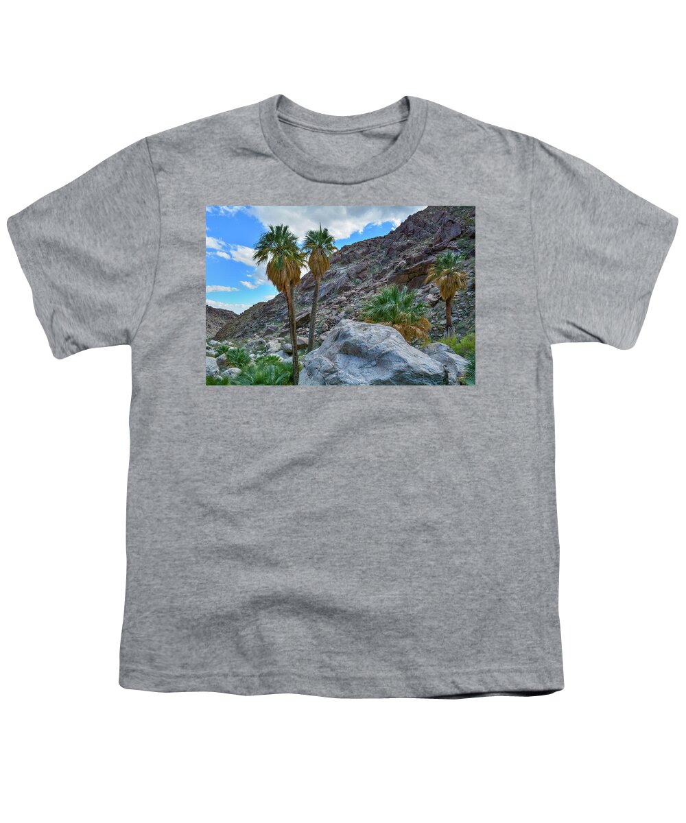 Anza Borrego Desert State Park Youth T-Shirt featuring the photograph Borrego Palm Canyon by Kyle Hanson