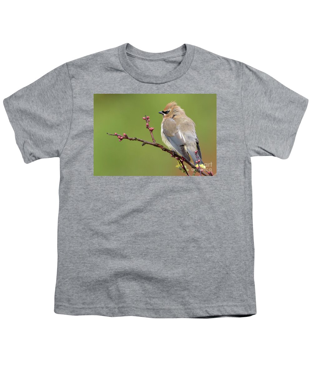Cedar Waxwing Youth T-Shirt featuring the photograph Cedar Waxwing Perched on a Twig with Flower Buds by Nancy Gleason