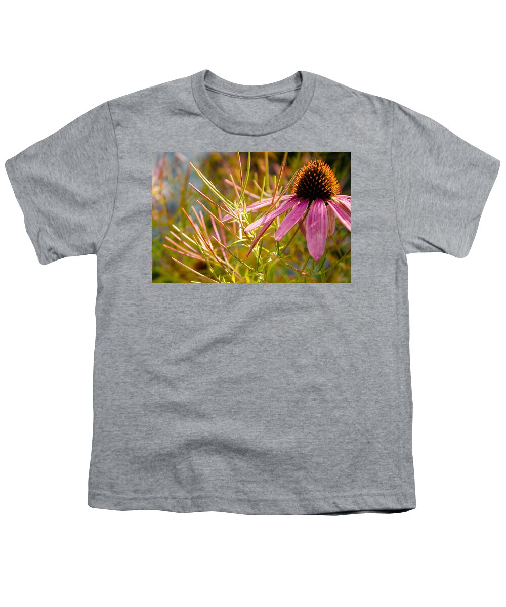 Coneflower Youth T-Shirt featuring the photograph Coneflower and Willowflower Seedpods by Kristin Hatt