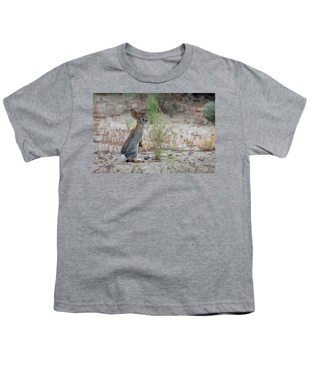 Lahontan Youth T-Shirt featuring the photograph Cottontail Rabbit by Rick Mosher