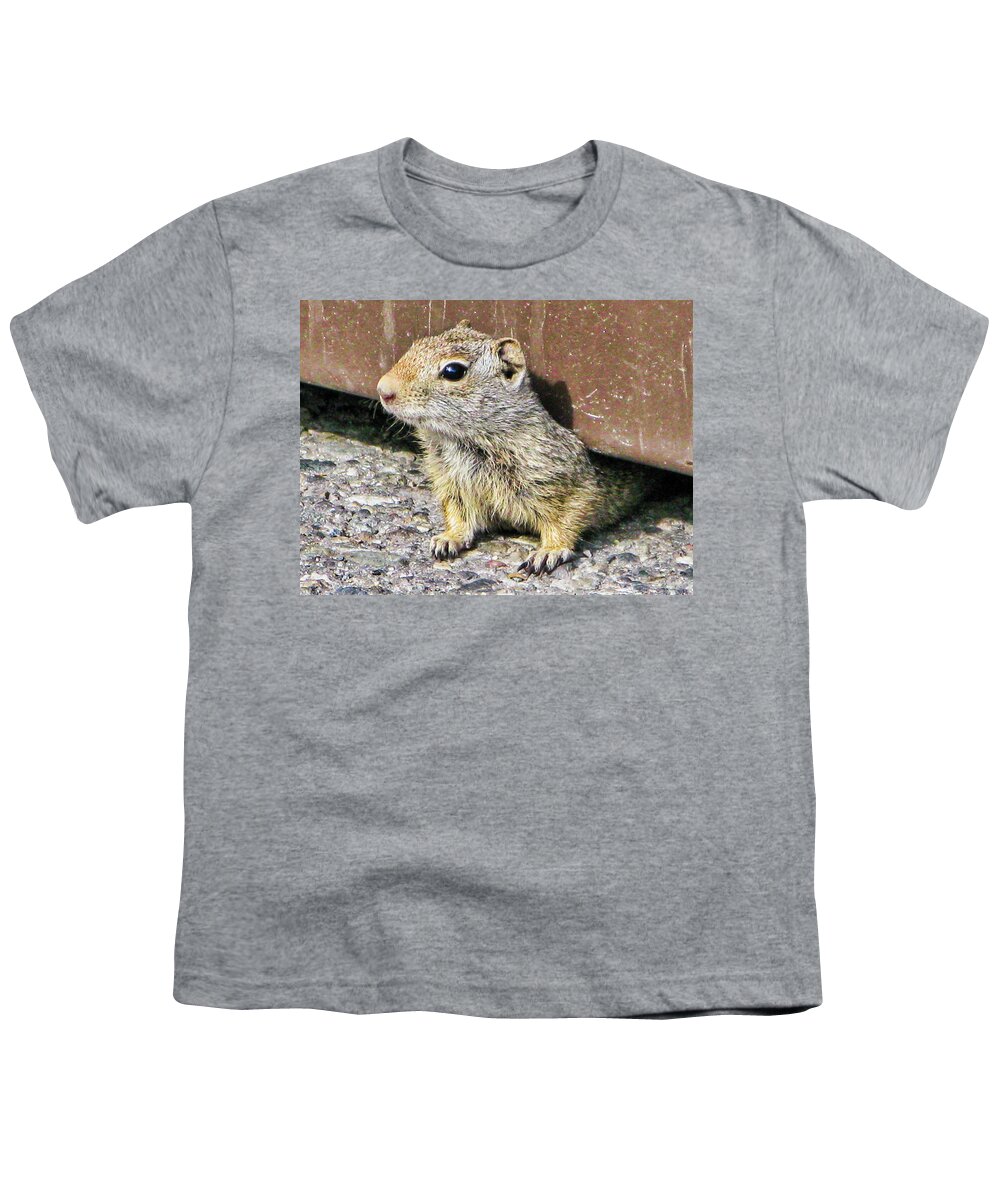 Animals Youth T-Shirt featuring the photograph Curious chipmonk by Segura Shaw Photography